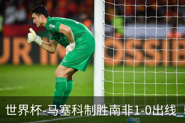 世界杯-马塞科制胜南非1-0出线 韩国积3分获小组第三待定