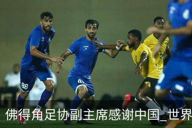 佛得角足协副主席感谢中国 世界杯后将安排与国足友谊赛