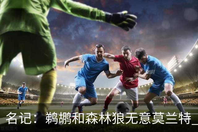 名记：鹈鹕&森林狼无意莫兰特 热火也不急于尝试其与字母哥的搭档